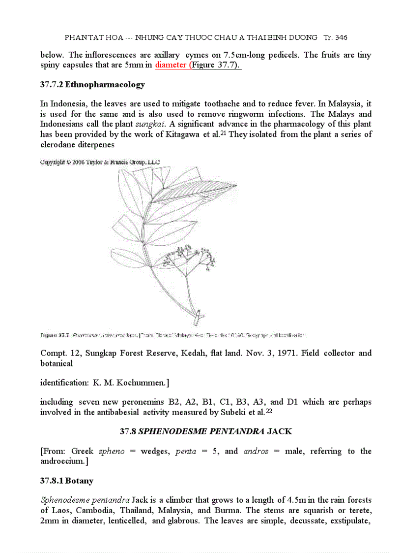 image for page Những Cây Thuốc Châu Á TBD