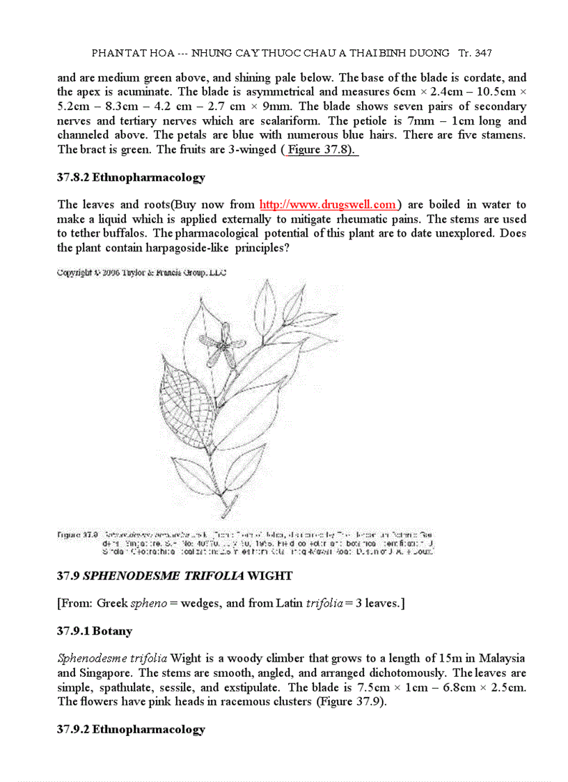 image for page Những Cây Thuốc Châu Á TBD