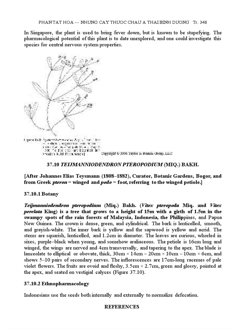 image for page Những Cây Thuốc Châu Á TBD