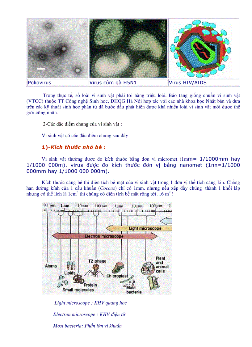 image for page Nhung dac diem chung cua vi sinh vat rat hay
