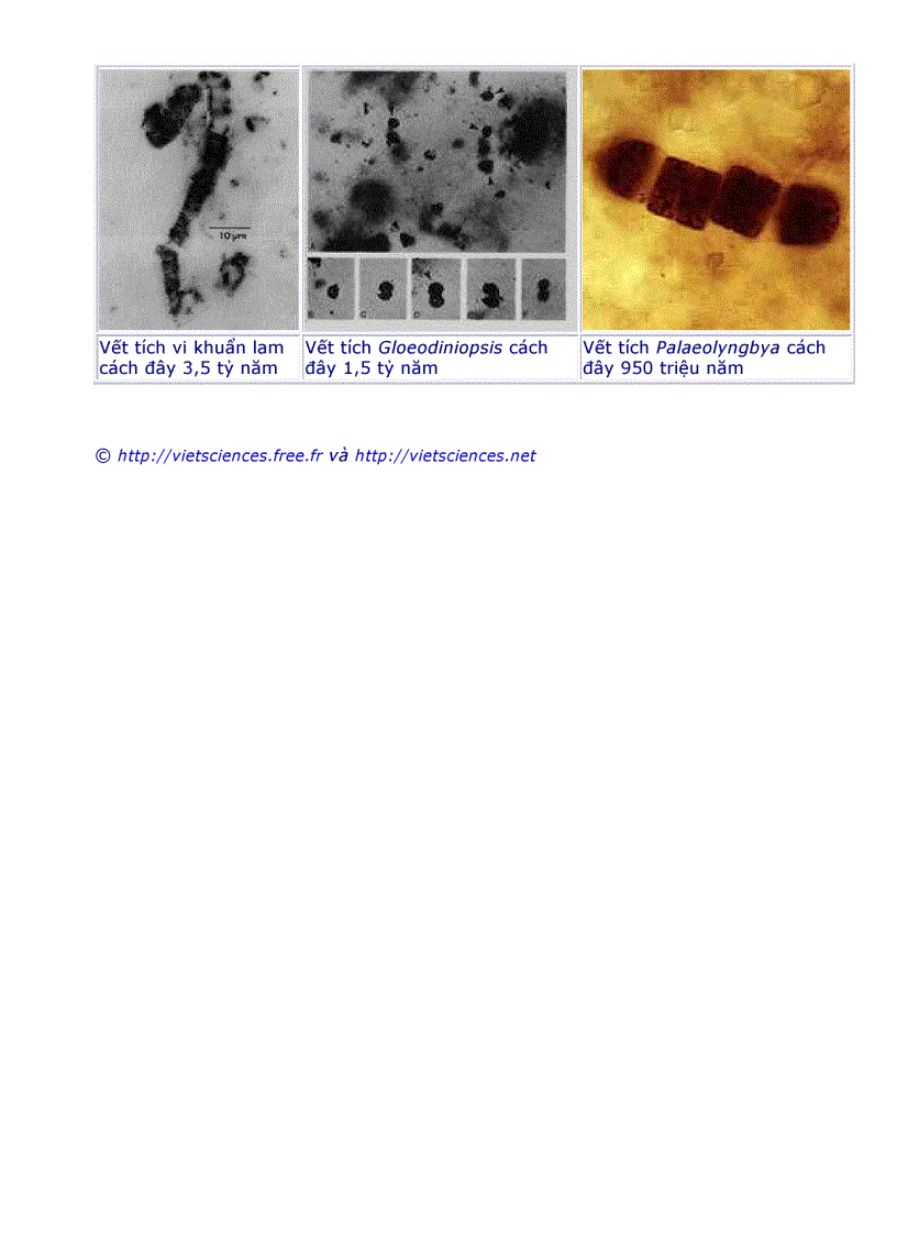 image for page Nhung dac diem chung cua vi sinh vat rat hay