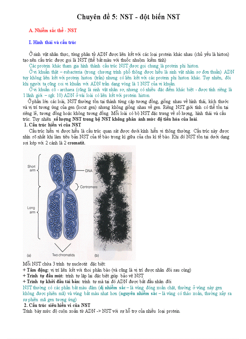 image for page NST và đột biến NST