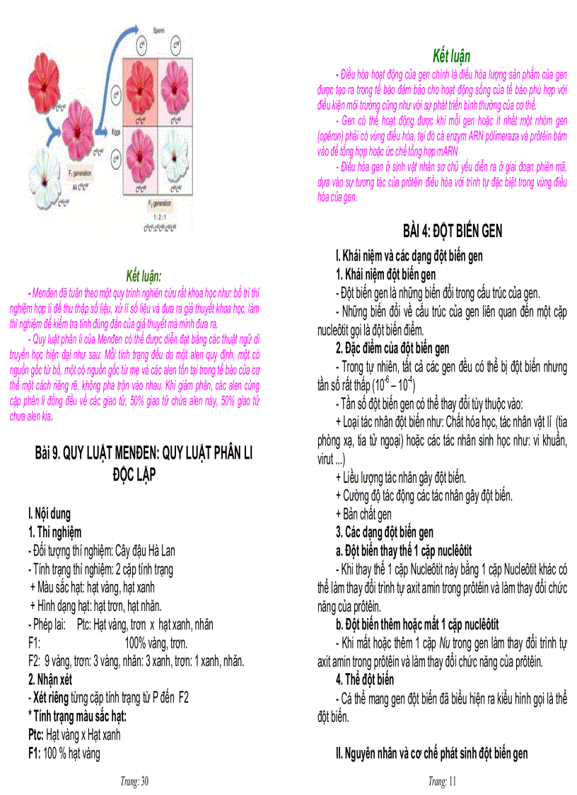 image for page Ôn tập sinh học 12 tập 1