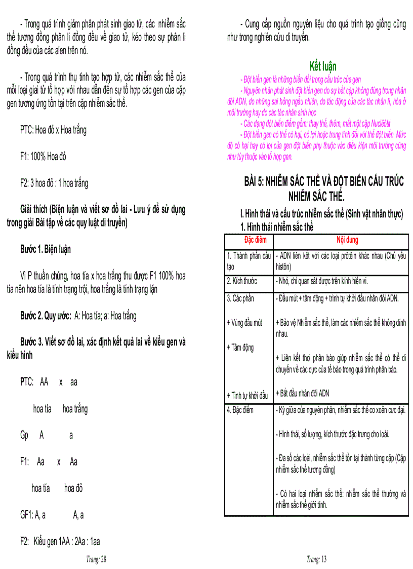 image for page Ôn tập sinh học 12 tập 1