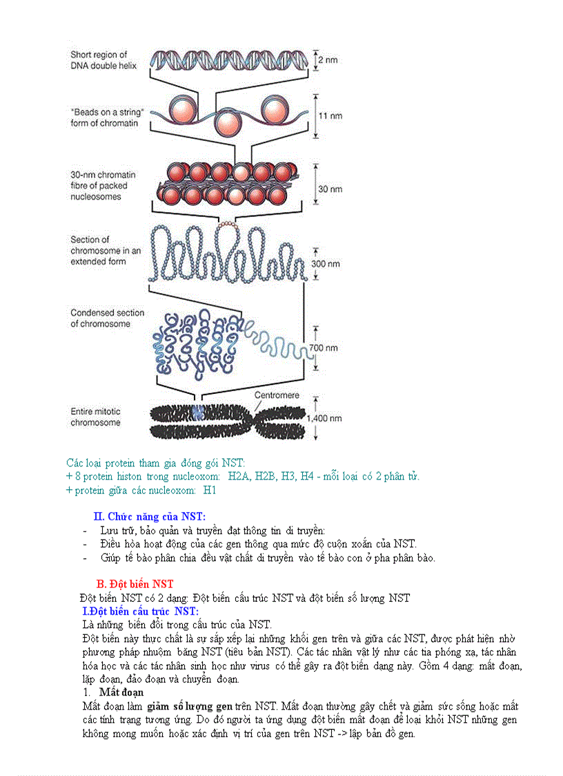 image for page Ôn thi TN Chuyên đề NST đột biến NST