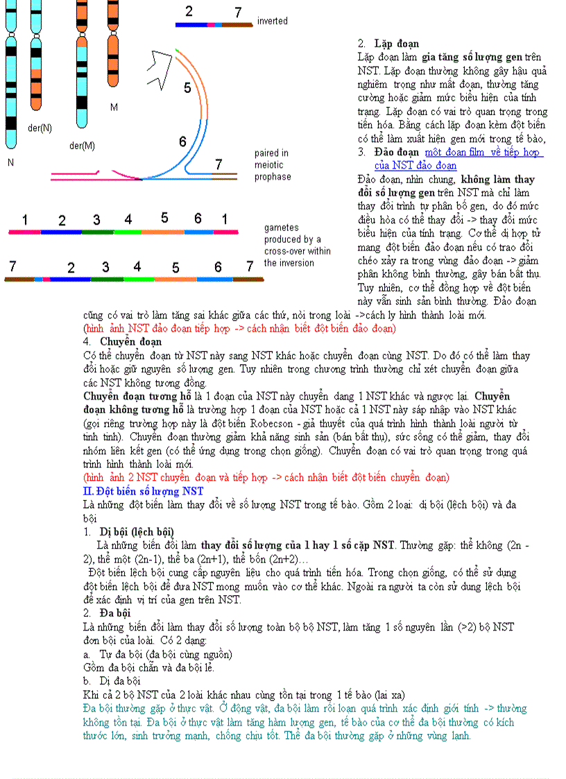 image for page Ôn thi TN Chuyên đề NST đột biến NST