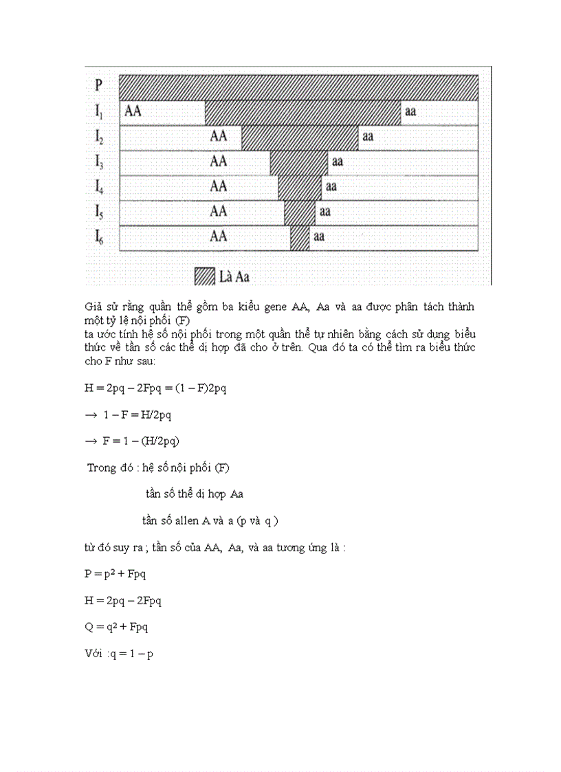 Sinh 12 LT BT DT Quần thể