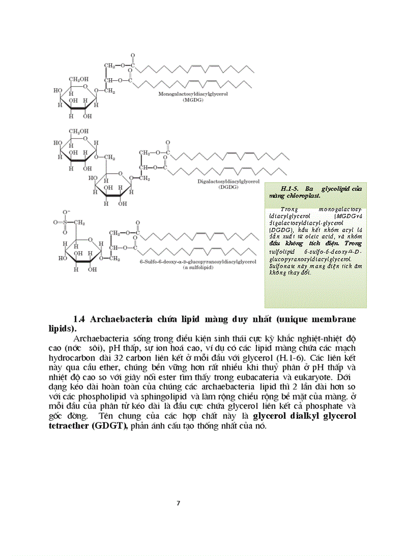 image for page Sinh hoc phan tu mang te bao ch17