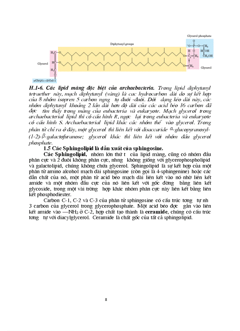image for page Sinh hoc phan tu mang te bao ch17