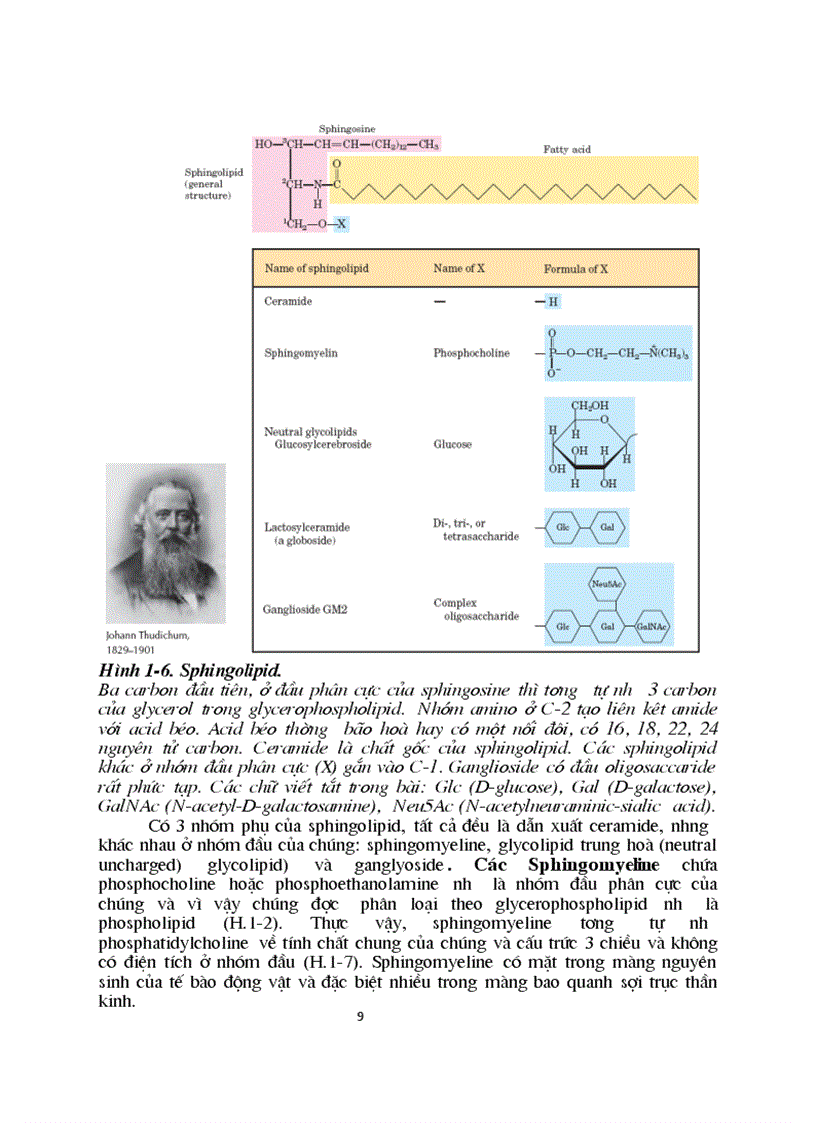 image for page Sinh hoc phan tu mang te bao ch17