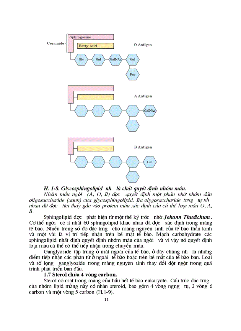 image for page Sinh hoc phan tu mang te bao ch17