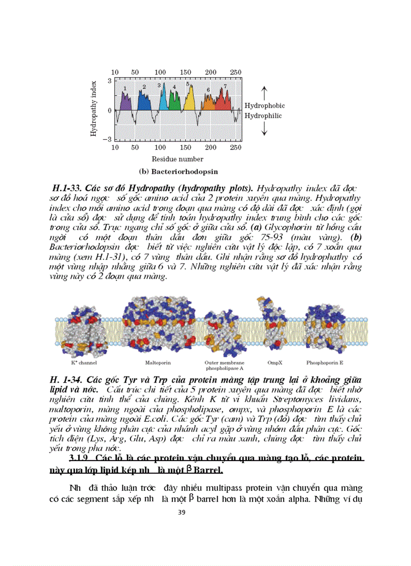 image for page Sinh hoc phan tu mang te bao ch17