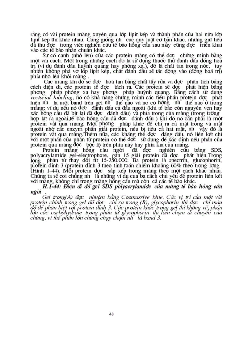 image for page Sinh hoc phan tu mang te bao ch17