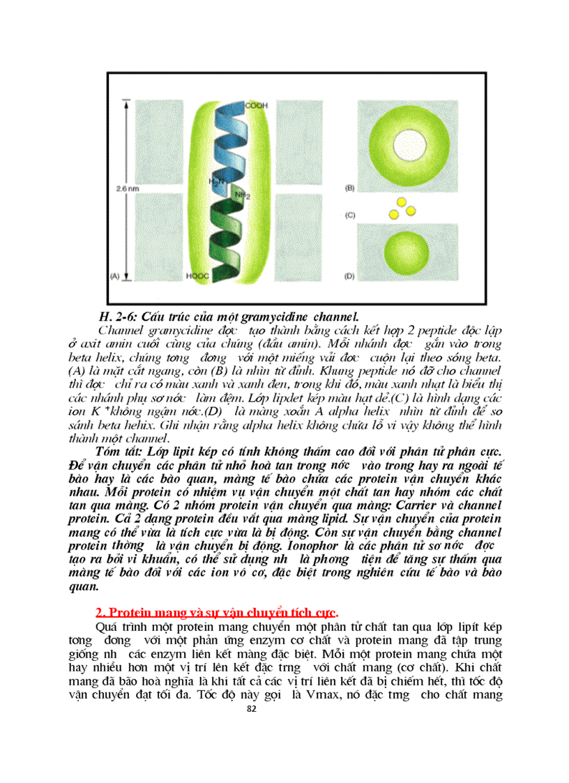 image for page Sinh hoc phan tu mang te bao ch17