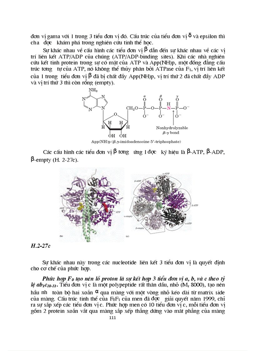 image for page Sinh hoc phan tu mang te bao ch17