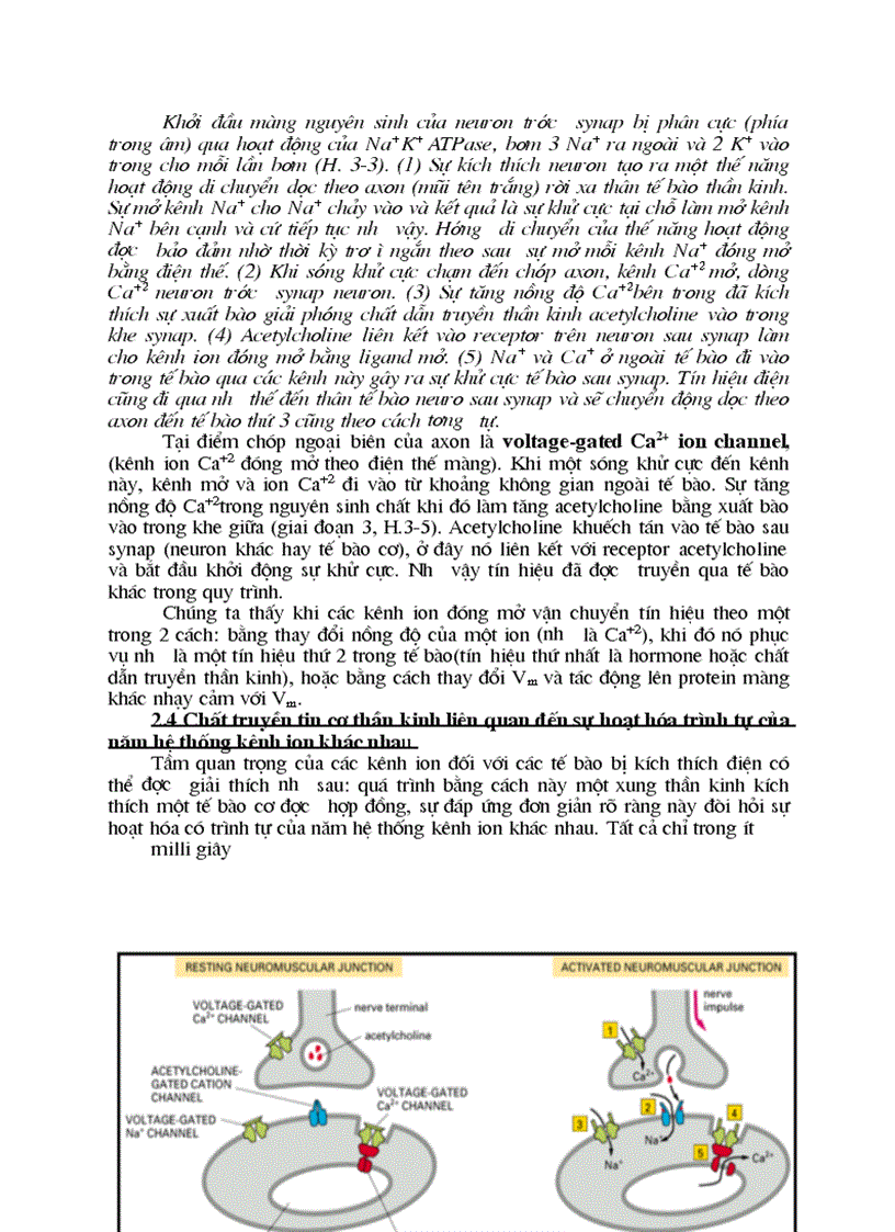 image for page Sinh hoc phan tu mang te bao ch17