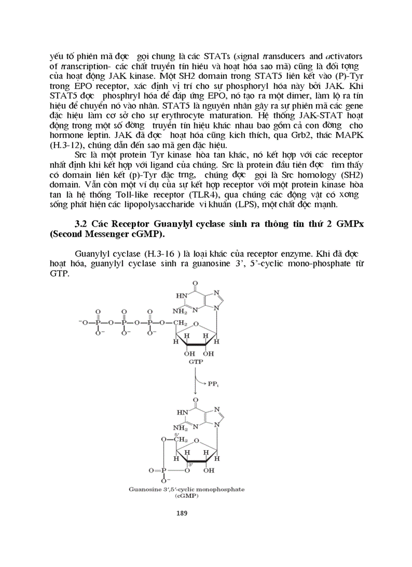 image for page Sinh hoc phan tu mang te bao ch17