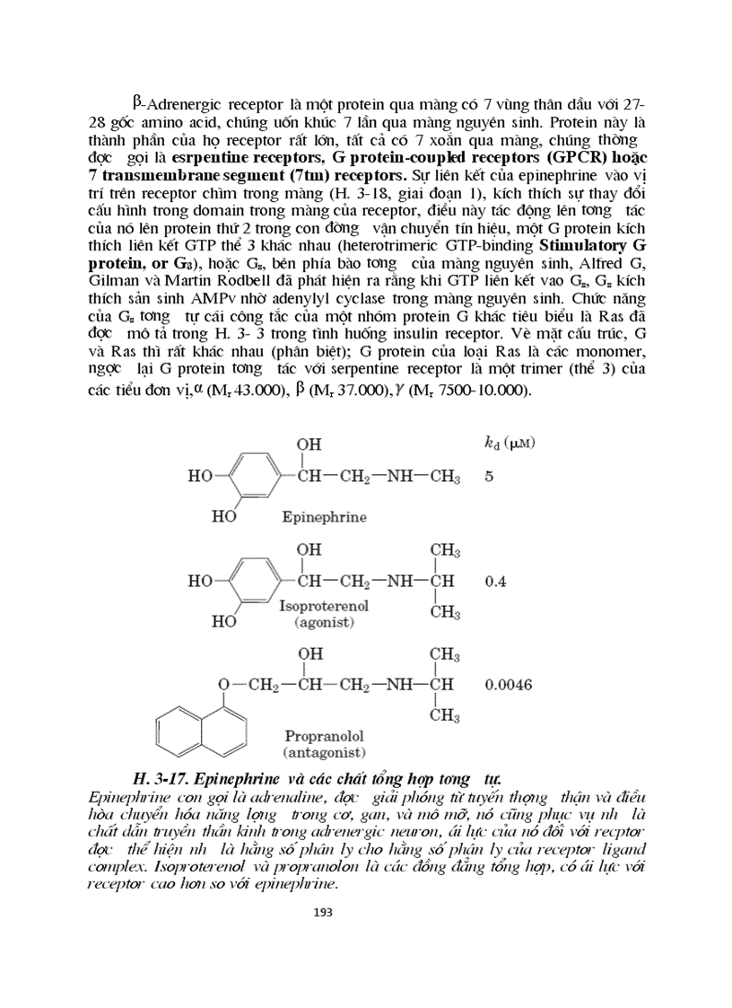 image for page Sinh hoc phan tu mang te bao ch17