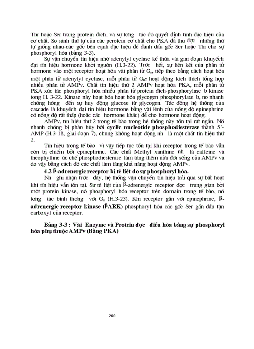 image for page Sinh hoc phan tu mang te bao ch17