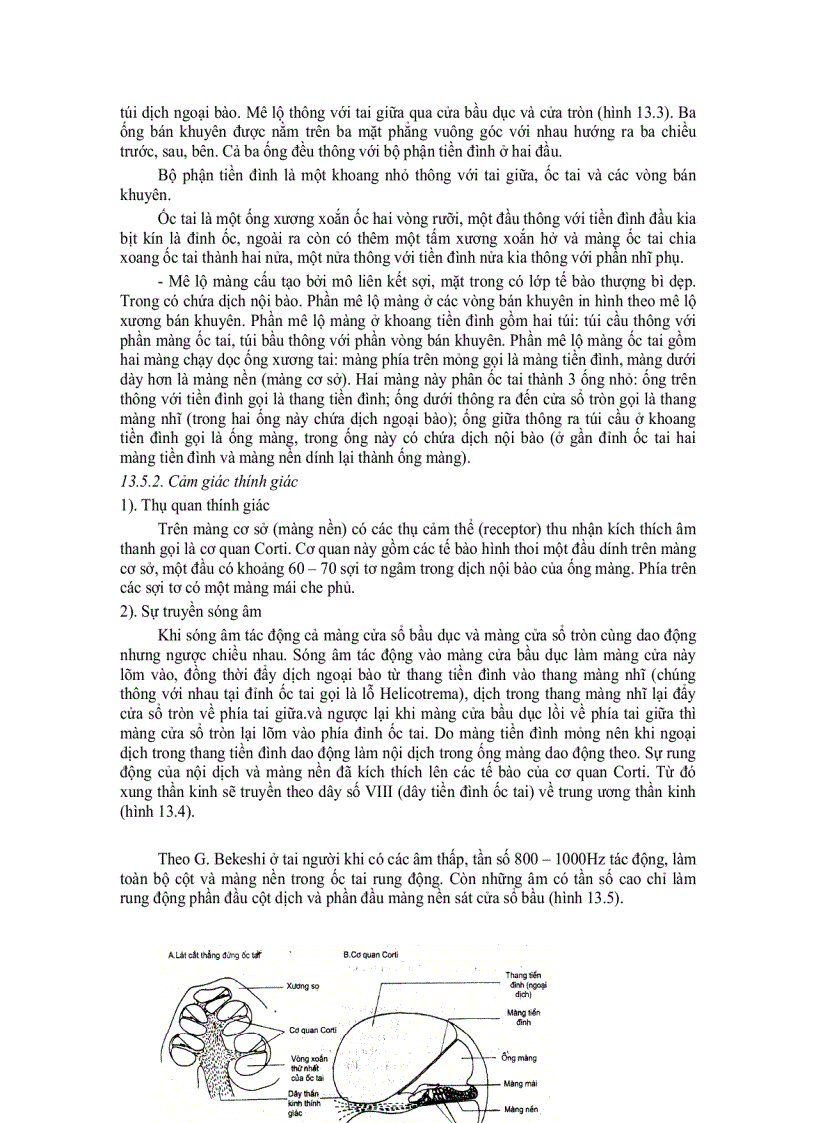 image for page Sinh Lí Các Cơ Quan Cảm Giác