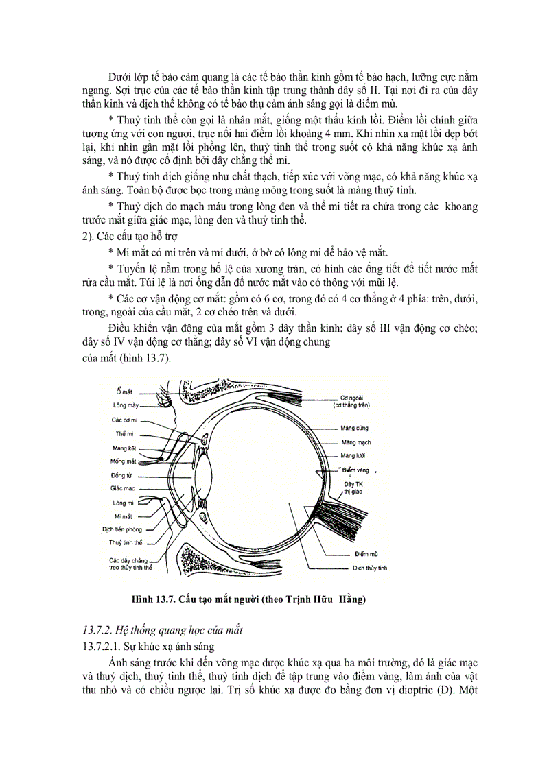 image for page Sinh Lí Các Cơ Quan Cảm Giác