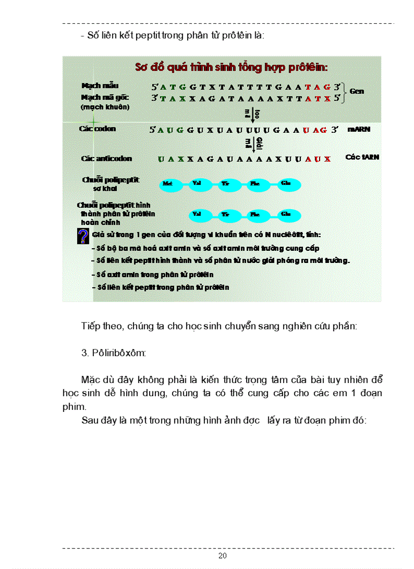 image for page SKKN Sinh 12