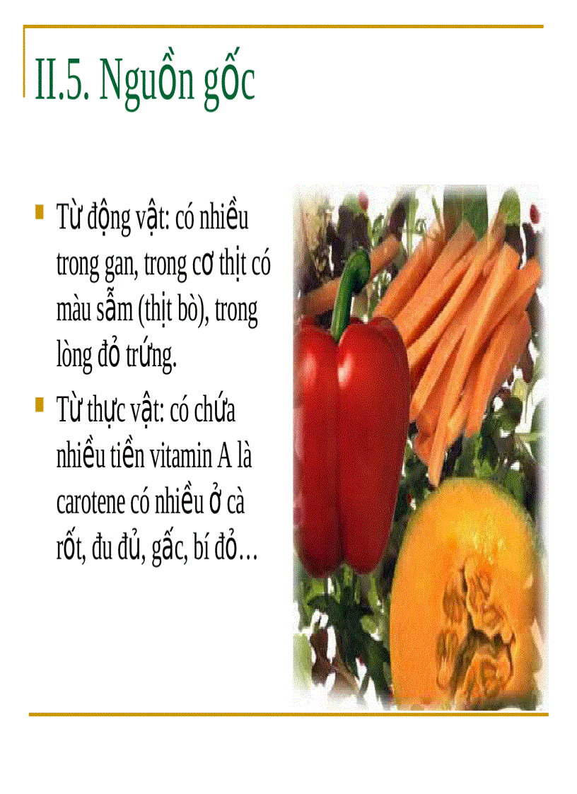 image for page Vitamin A
