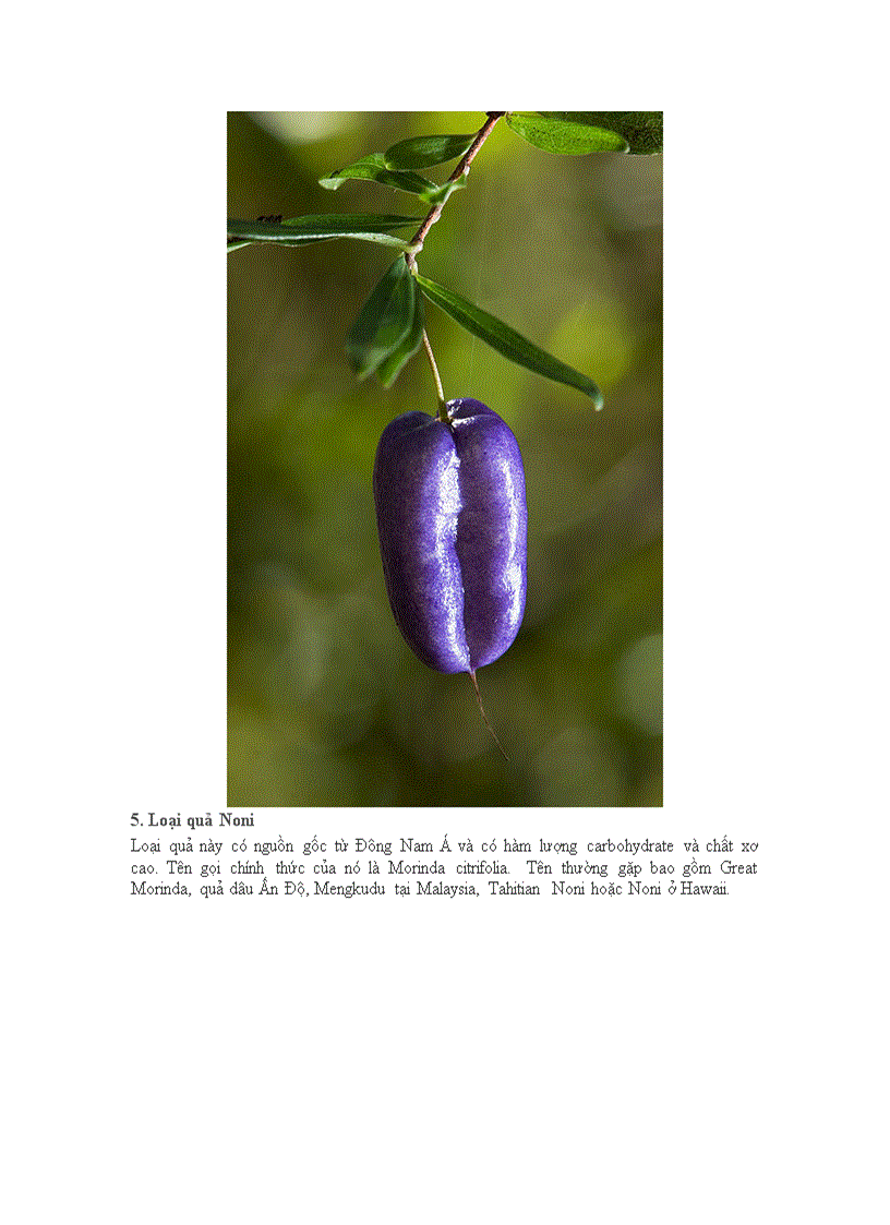 image for page 20 loại quả kì quặc nhất thếgiới