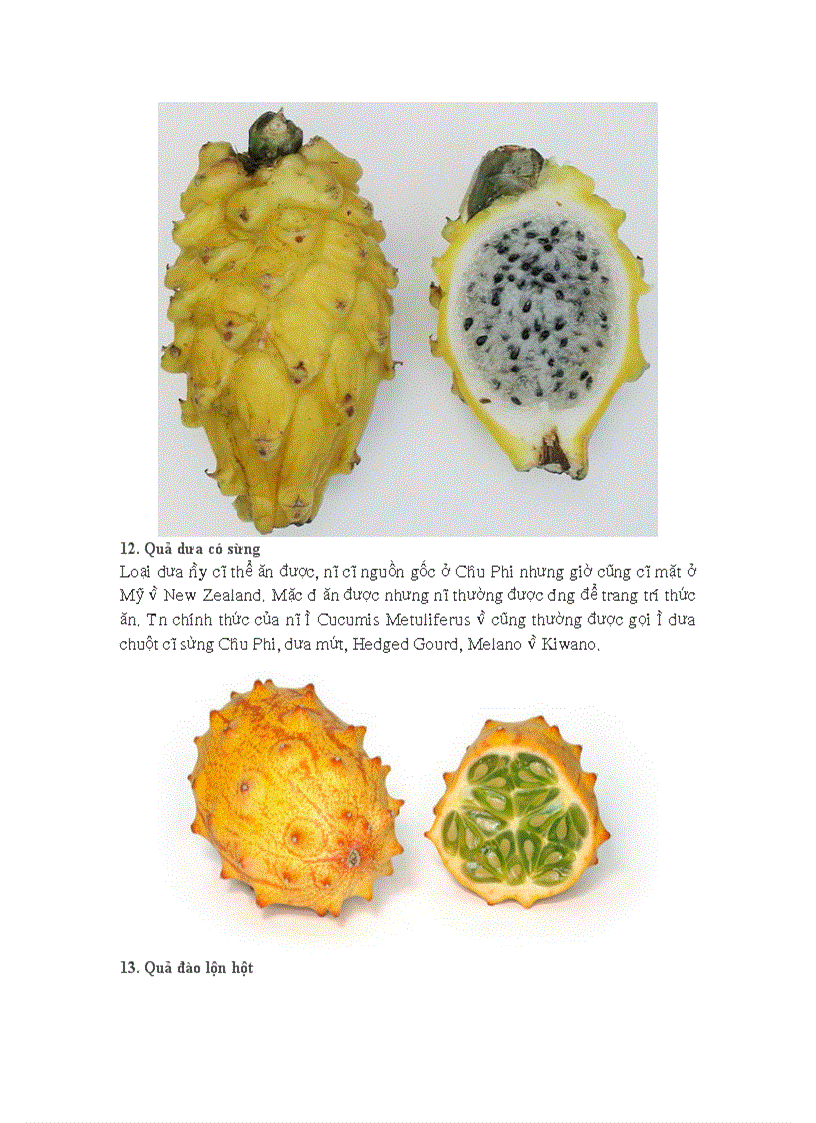 image for page 20 loại quả kì quặc nhất thếgiới