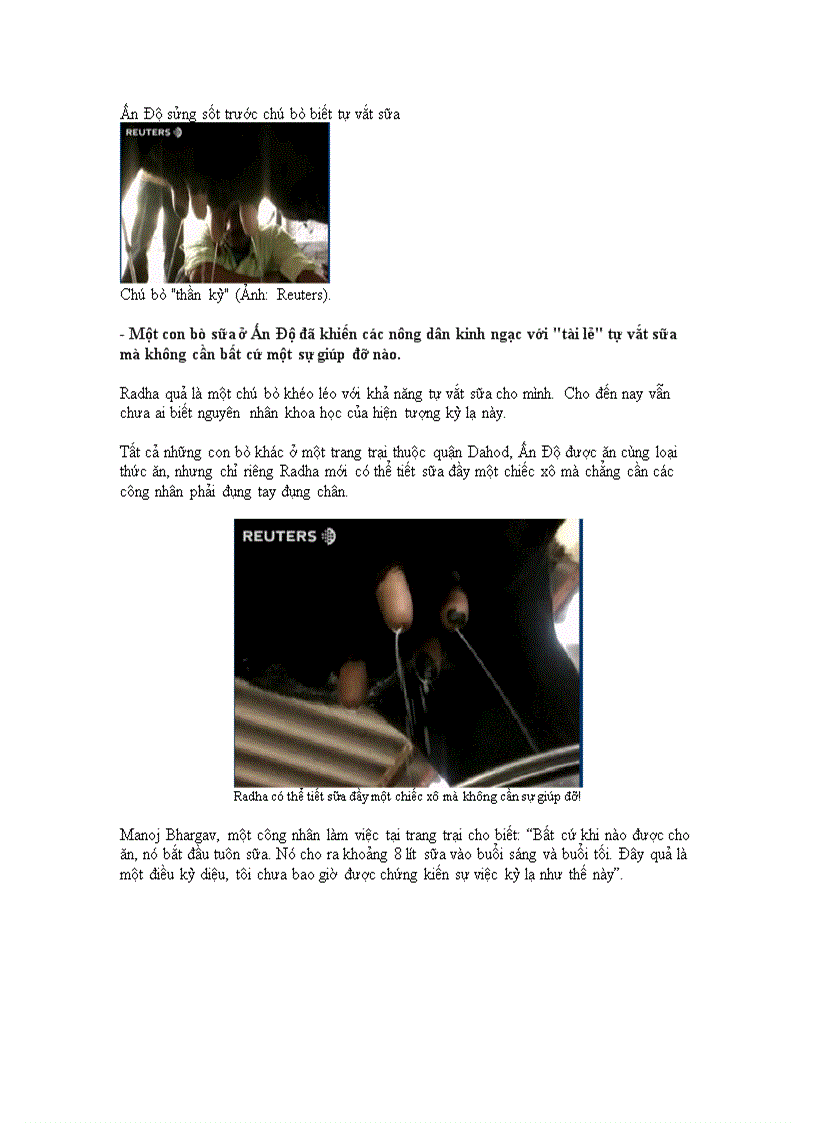 image for page An do sung sot truoc con bo biet tu vat sua