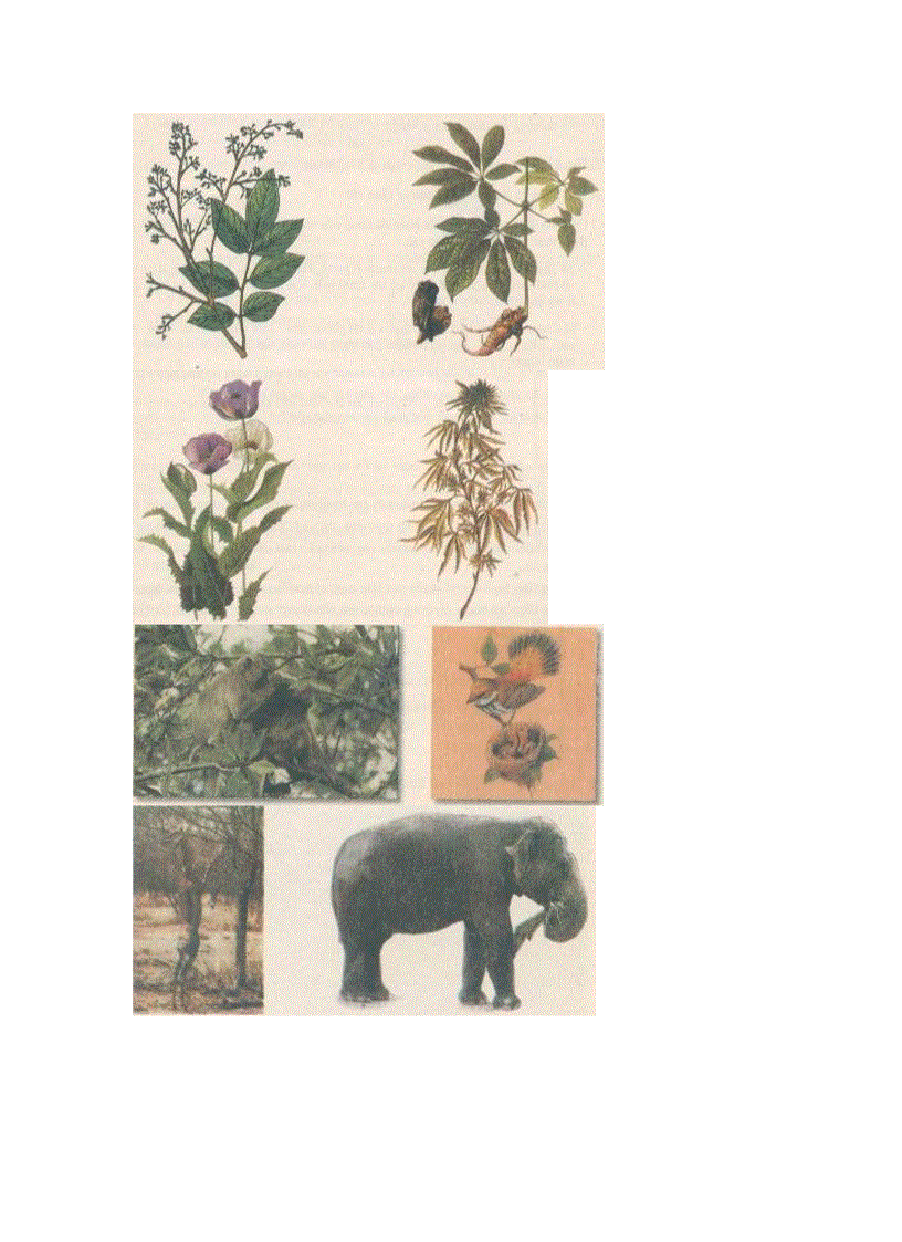 image for page Ảnh trong sinh học 6