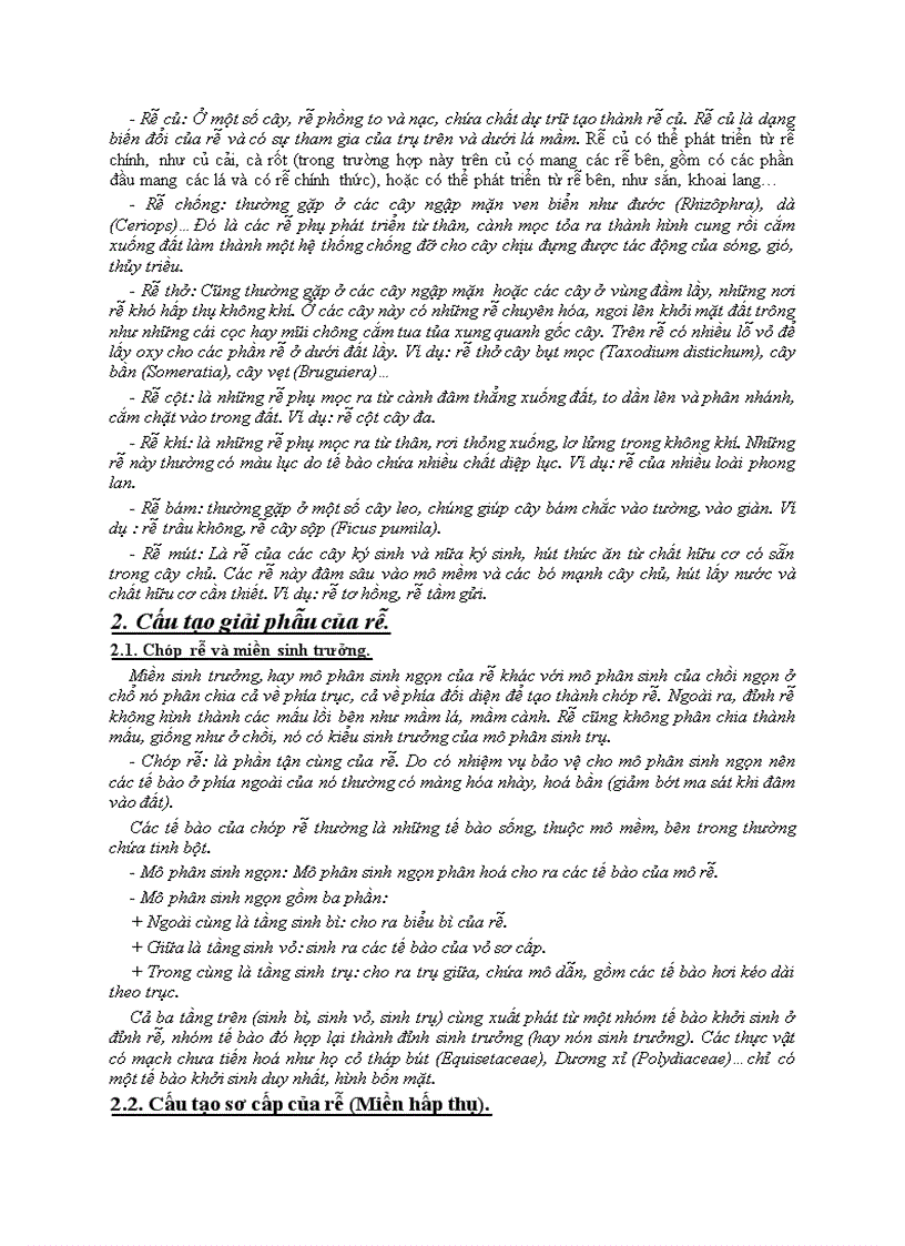 image for page Bài 3 hình thái cấu tạo và chức năng của rễ cây