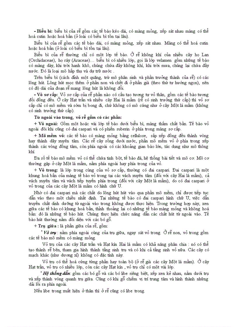 image for page Bài 3 hình thái cấu tạo và chức năng của rễ cây