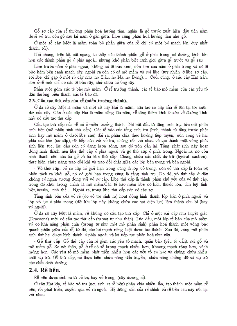 image for page Bài 3 hình thái cấu tạo và chức năng của rễ cây