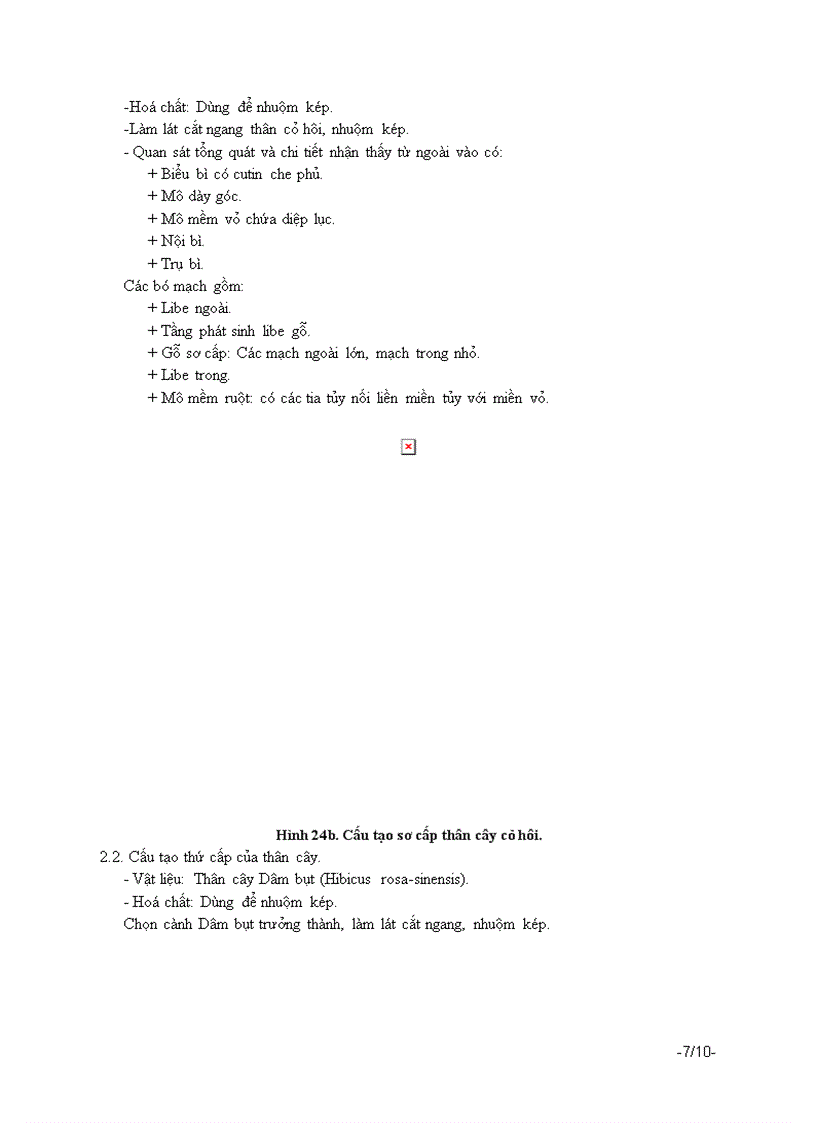 image for page Bài 4 cấu tạo của thân và chức năng của thân cây