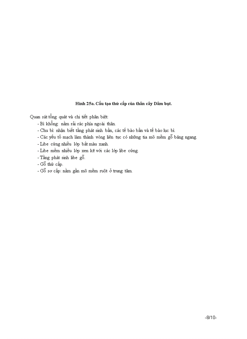 image for page Bài 4 cấu tạo của thân và chức năng của thân cây