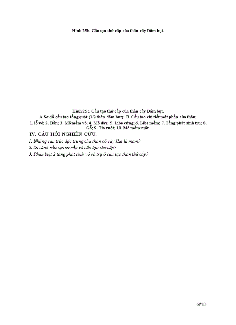 image for page Bài 4 cấu tạo của thân và chức năng của thân cây