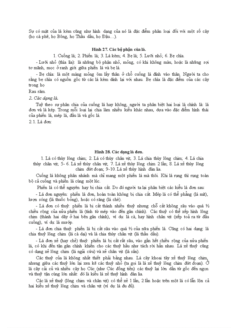 image for page Bài 5 hình thái cấu tạo giải phẩu cua la