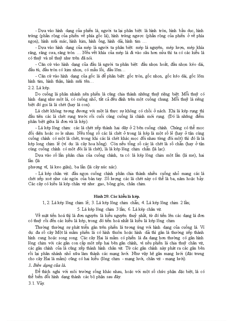 image for page Bài 5 hình thái cấu tạo giải phẩu cua la