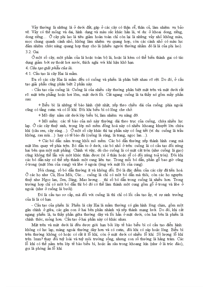 image for page Bài 5 hình thái cấu tạo giải phẩu cua la