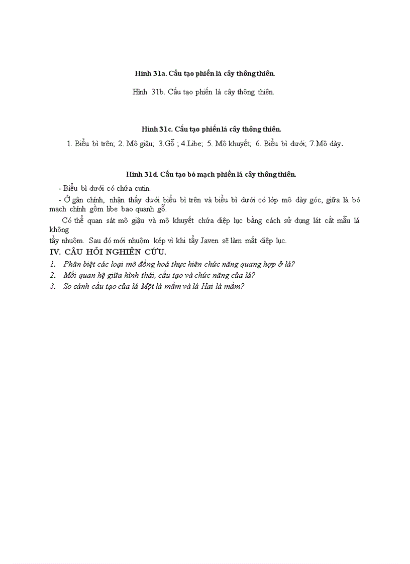 image for page Bài 5 hình thái cấu tạo giải phẩu cua la