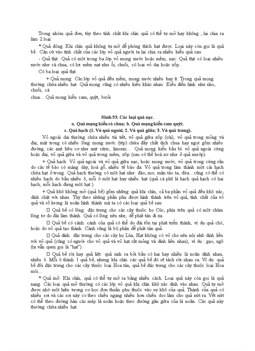 image for page Bài 7 hoa quả hạt ở thực vật hạt kín