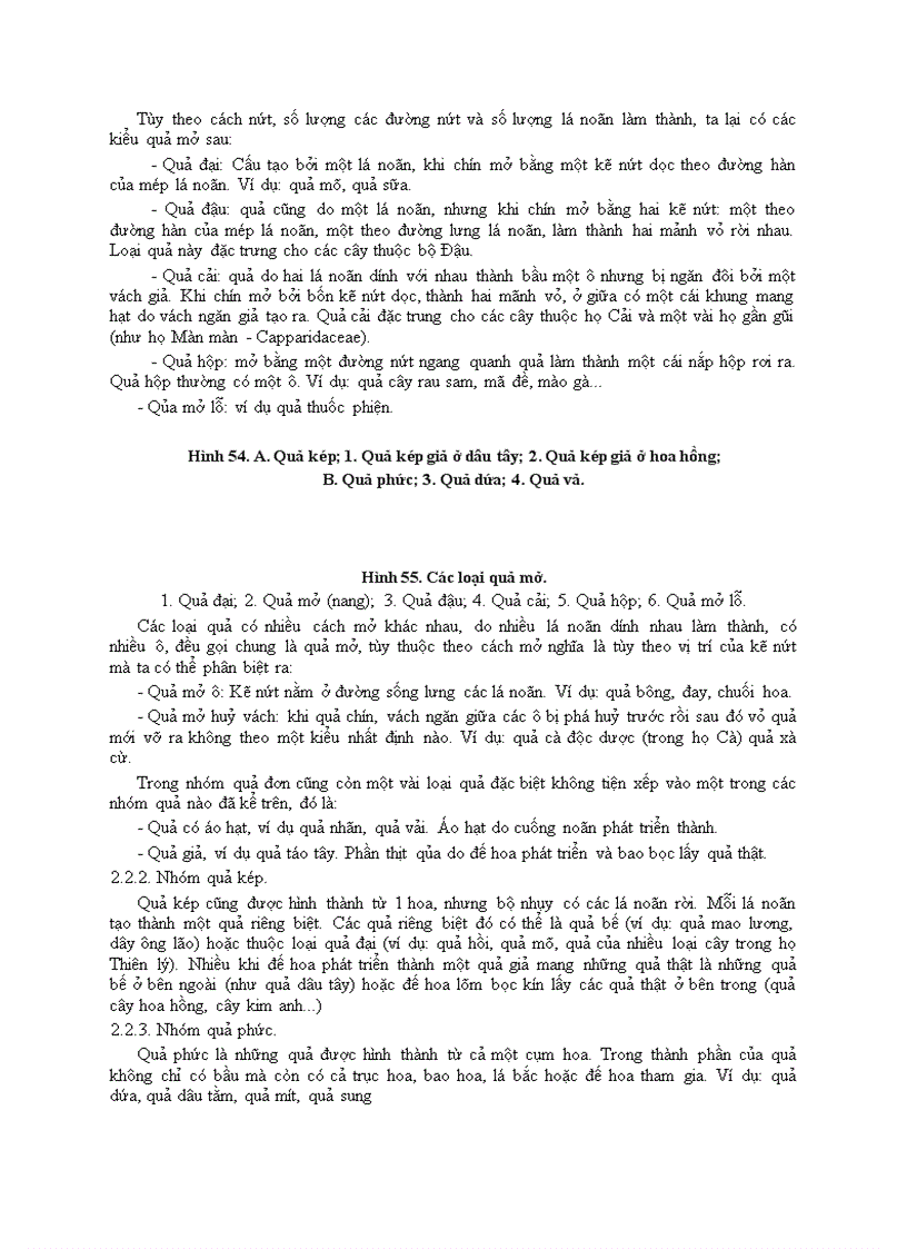 image for page Bài 7 hoa quả hạt ở thực vật hạt kín