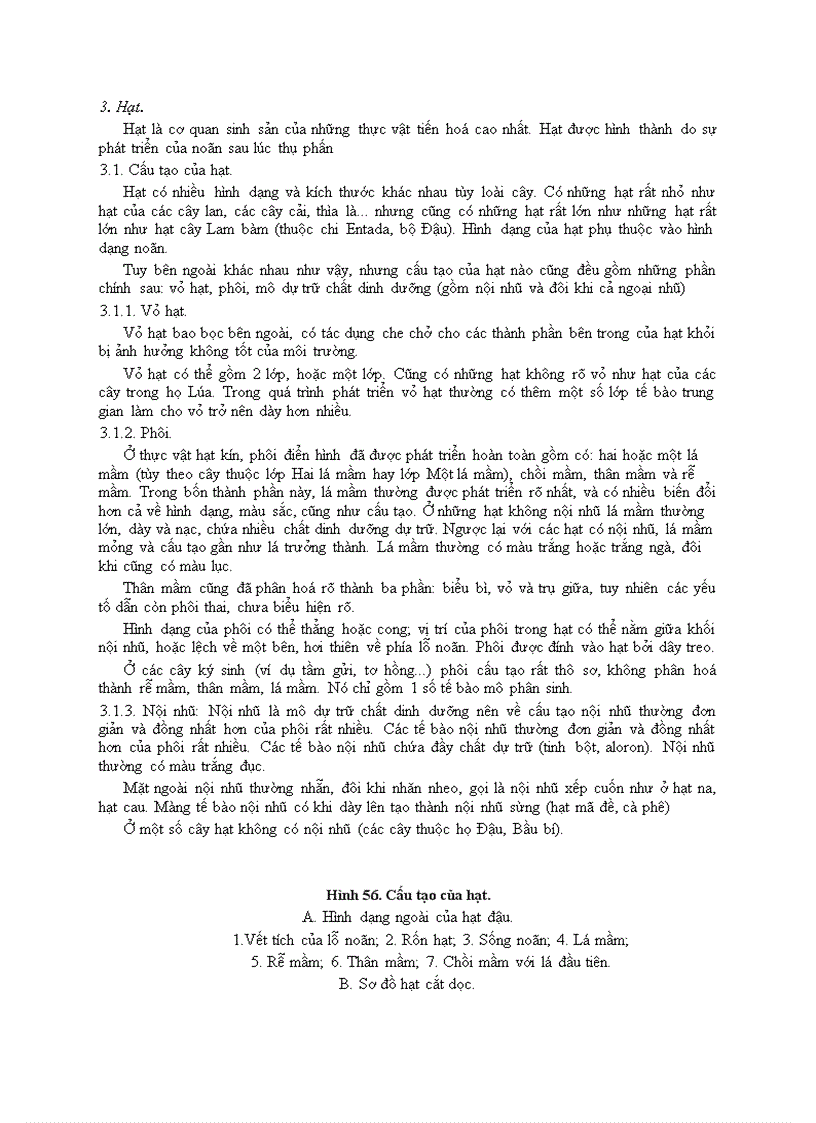 image for page Bài 7 hoa quả hạt ở thực vật hạt kín