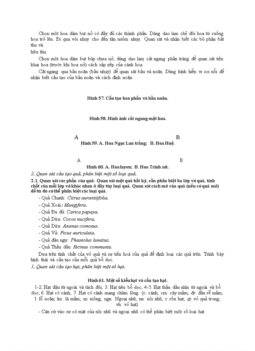 image for page Bài 7 hoa quả hạt ở thực vật hạt kín