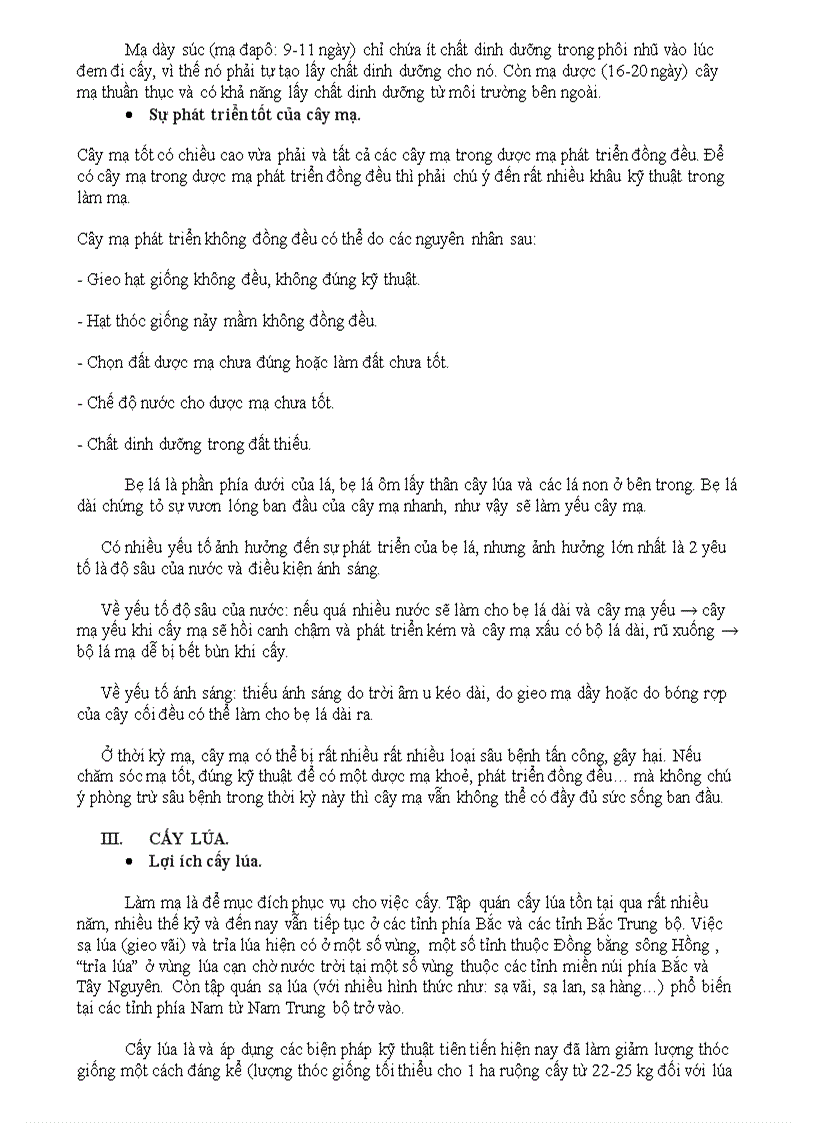 image for page Cây lúa