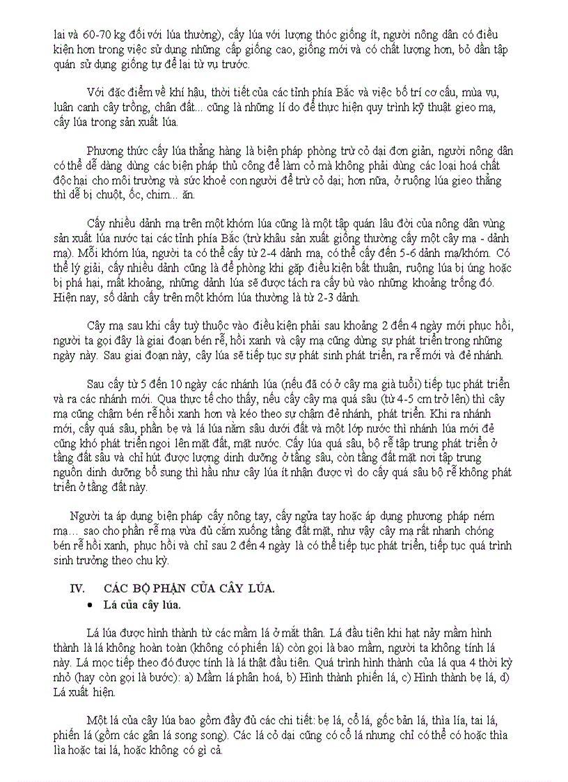 image for page Cây lúa