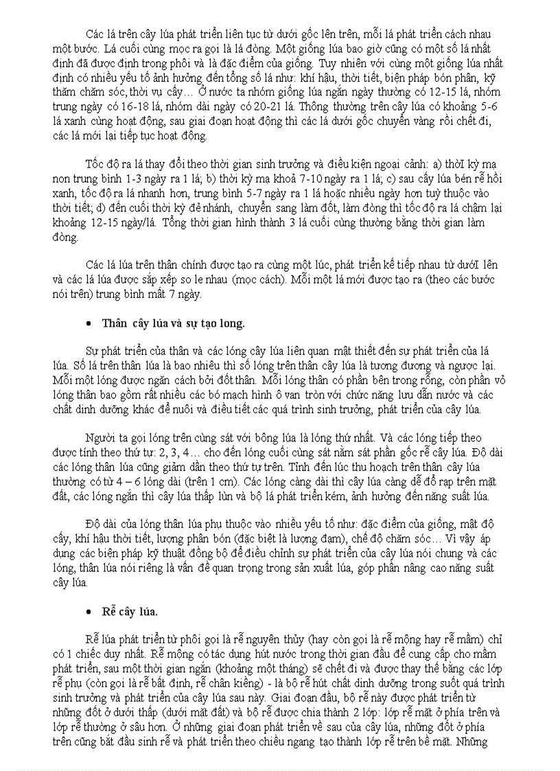 image for page Cây lúa