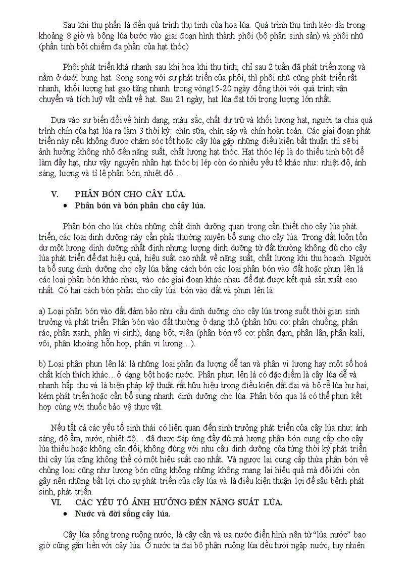 image for page Cây lúa