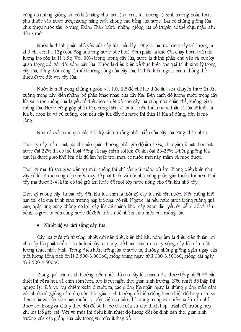 image for page Cây lúa